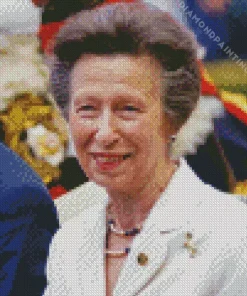 Princess Anne Diamond By Numbers