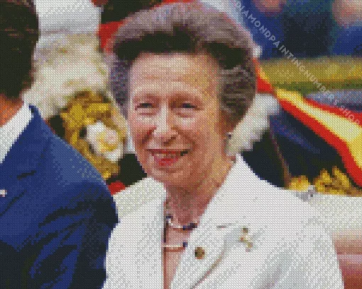 Princess Anne Diamond By Numbers