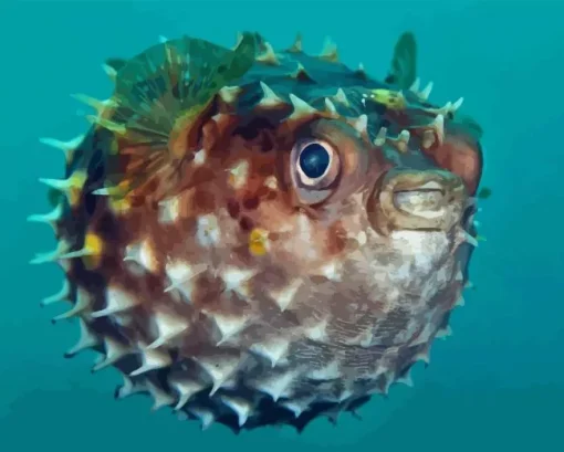 Puffer fish Diamond By Numbers