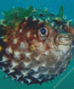 Puffer fish Diamond By Numbers