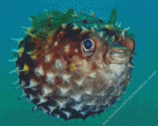 Puffer fish Diamond By Numbers