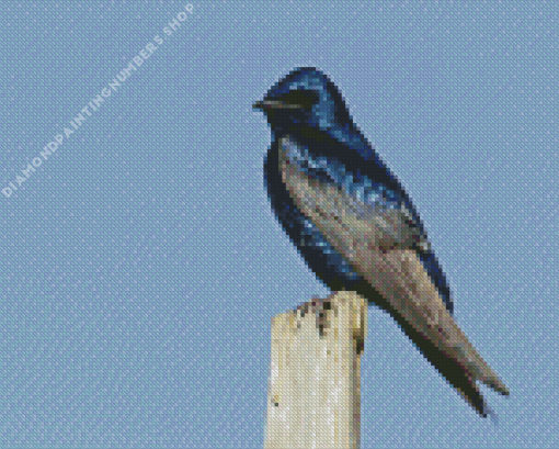 Purple martin Diamond Paints