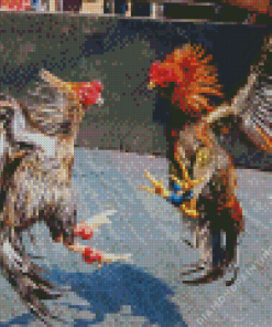 Rooster fighting Diamond With Numbers