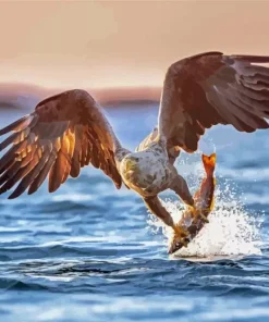 Sea Eagle Catching Fish Diamond By Numbers