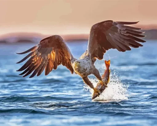 Sea Eagle Catching Fish Diamond By Numbers