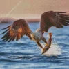 Sea Eagle Catching Fish Diamond By Numbers