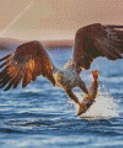 Sea Eagle Catching Fish Diamond By Numbers