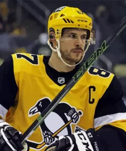 Sidney crosby Diamond By Numbers