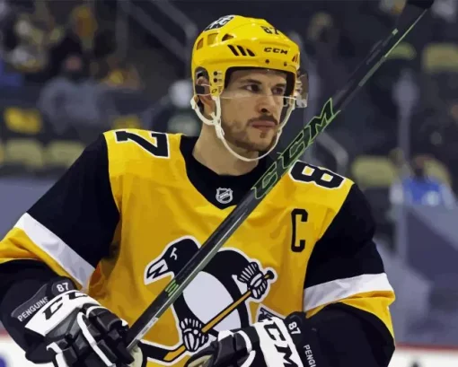 Sidney crosby Diamond By Numbers