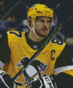 Sidney crosby Diamond By Numbers