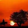 Sunsett Cowboy Silhouette Diamond By Numbers