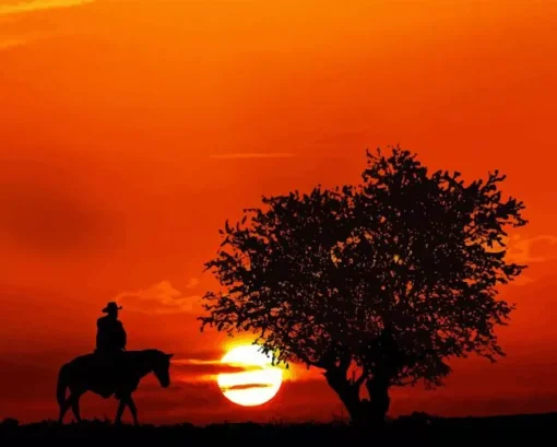 Sunsett Cowboy Silhouette Diamond By Numbers