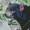 Tasmanian devil Diamond Dotz