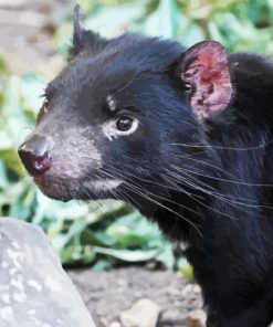 Tasmanian devil Diamond Dotz