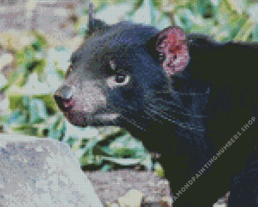 Tasmanian devil Diamond Dotz