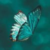 Teal Butterfly Diamond Paints