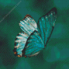 Teal Butterfly Diamond Paints