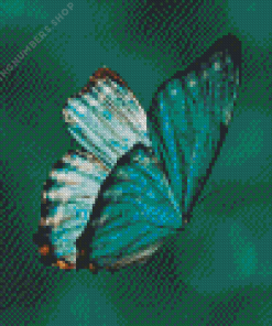 Teal Butterfly Diamond Paints