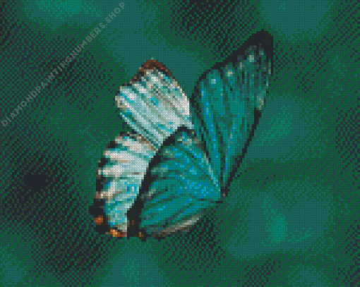 Teal Butterfly Diamond Paints