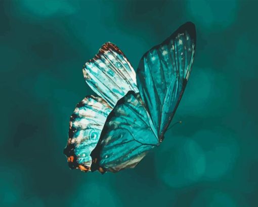 Teal Butterfly Diamond Paints