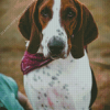 Treeing walker coonhound Diamond Paints