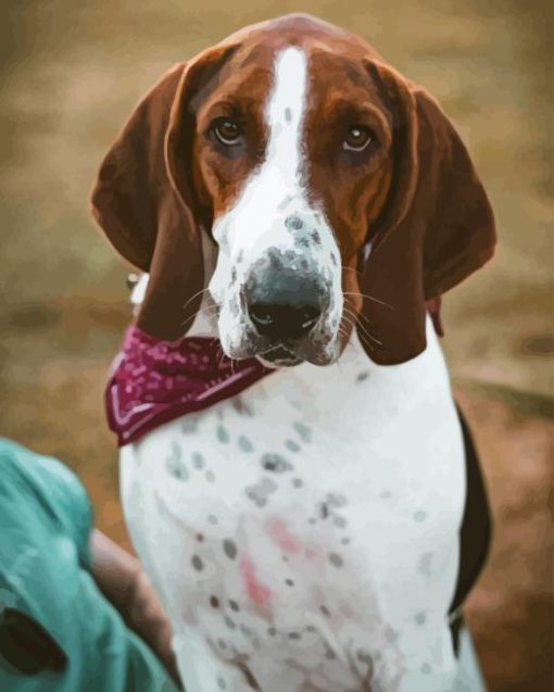 Treeing walker coonhound Diamond Paints