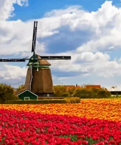 Tulips in holland Diamond By Numbers