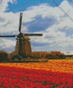 Tulips in holland Diamond By Numbers