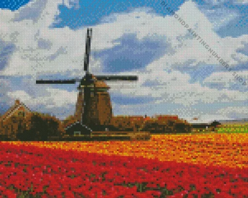 Tulips in holland Diamond By Numbers