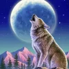 Wolf with moon Diamond By Numbers