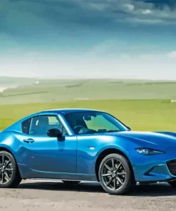 blue mx5 Diamond By Numbers