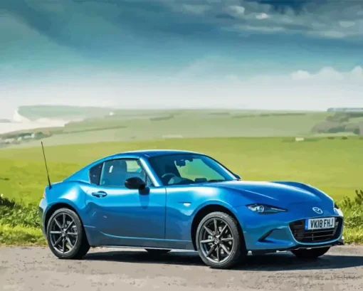 blue mx5 Diamond By Numbers