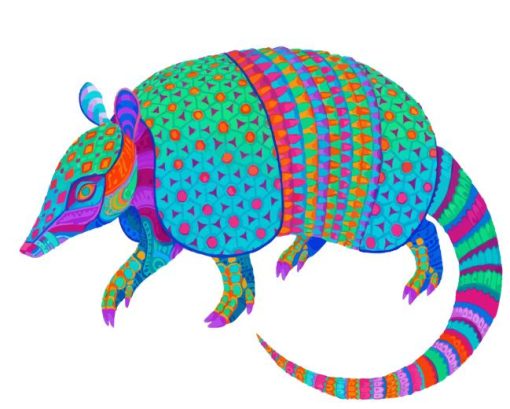 colorful armadillo Diamond Paints