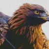 golden eagle Diamond By Numbers