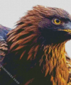 golden eagle Diamond By Numbers