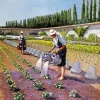 gustave caillebotte the gardeners Diamond By Numbers