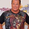 jerry lawler Diamond Paints