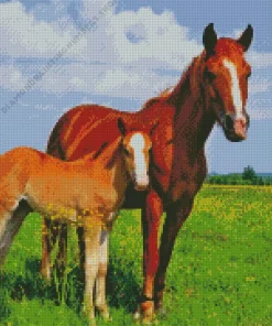 mare and foal in pasture Diamond By Numbers