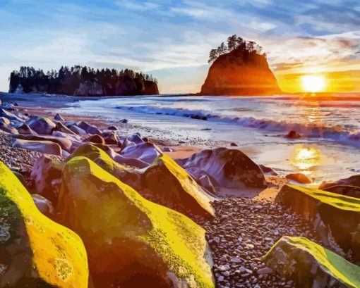 olympic national park Diamond Paints