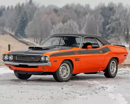 orange 1974 challenger Diamond By Numbers