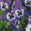 pansy flower Diamond Paints