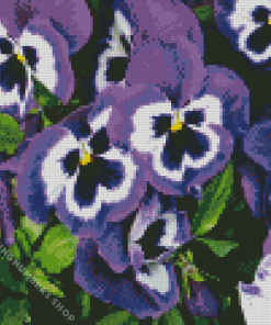 pansy flower Diamond Paints