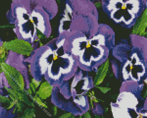 pansy flower Diamond Paints