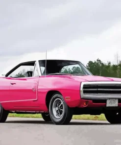 pink Charger rt 1970 Diamond By Numbers