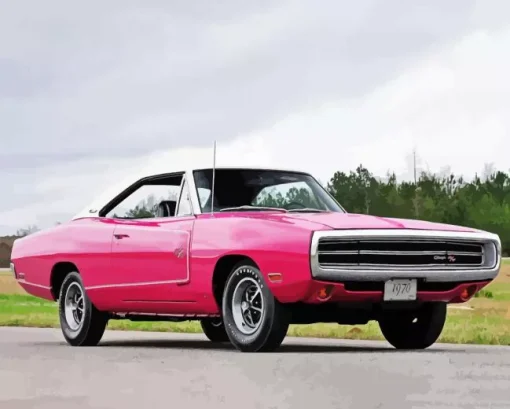 pink Charger rt 1970 Diamond By Numbers