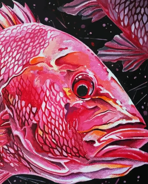 red snapper Diamond By Numbers