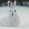 snowshoe hare Diamond Dotz