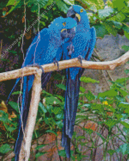 two blue birds Diamond Dotz