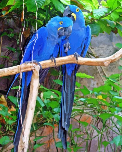 two blue birds Diamond Dotz