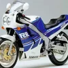 yamaha fzr Diamond By Numbers